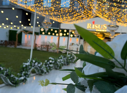 Risus Garden